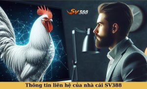 Liên Hệ SV388 