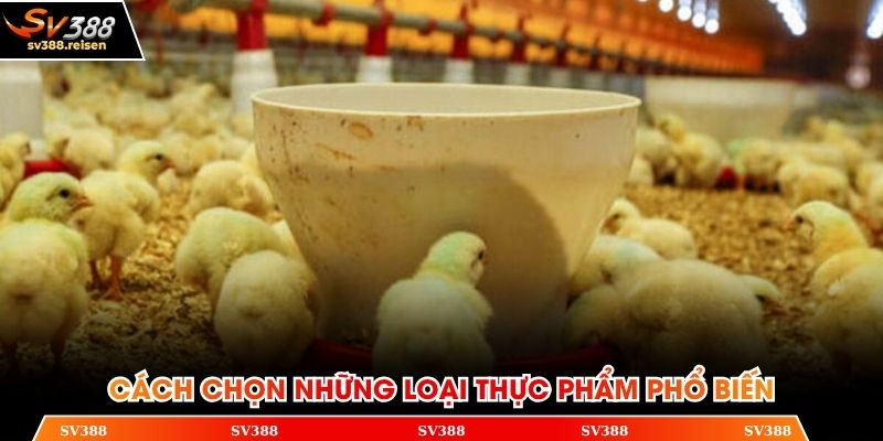 3 loại thực phẩm phổ biến nhất