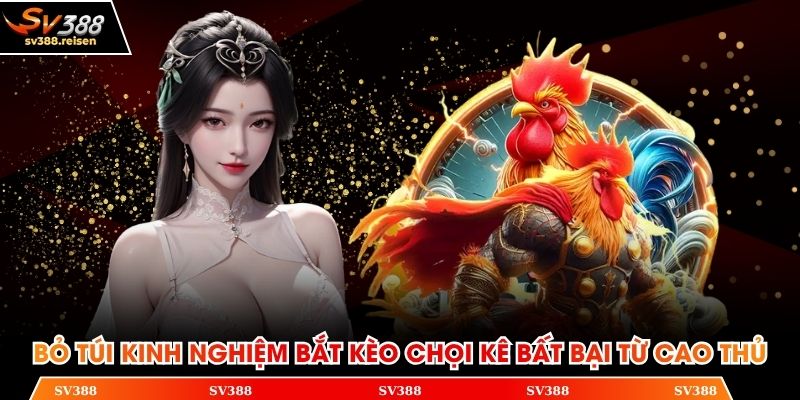 Bỏ túi kinh nghiệm bắt kèo chọi kê bất bại từ cao thủ