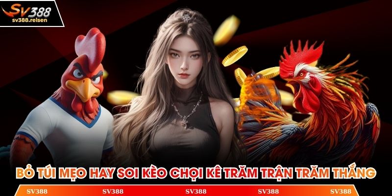 Bỏ túi mẹo hay soi kèo chọi kê trăm trận trăm thắng