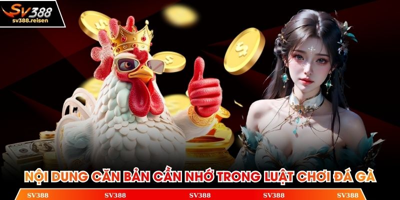 Các nội dung căn bản cần nhớ trong luật chơi đá gà