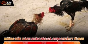 Cách chăm sóc gà