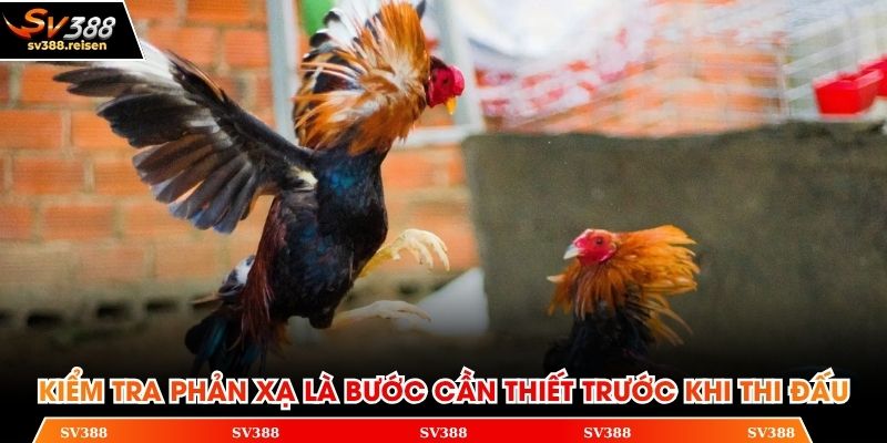 Kiểm tra phản xạ là bước cần thiết trước khi thi đấu