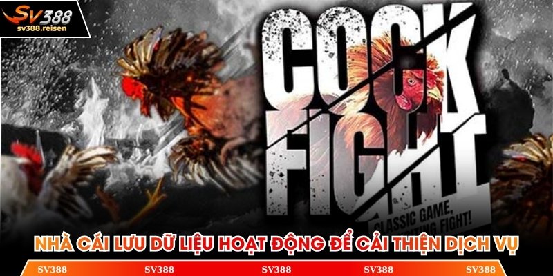 Nhà cái lưu dữ liệu hoạt động để cải thiện dịch vụ
