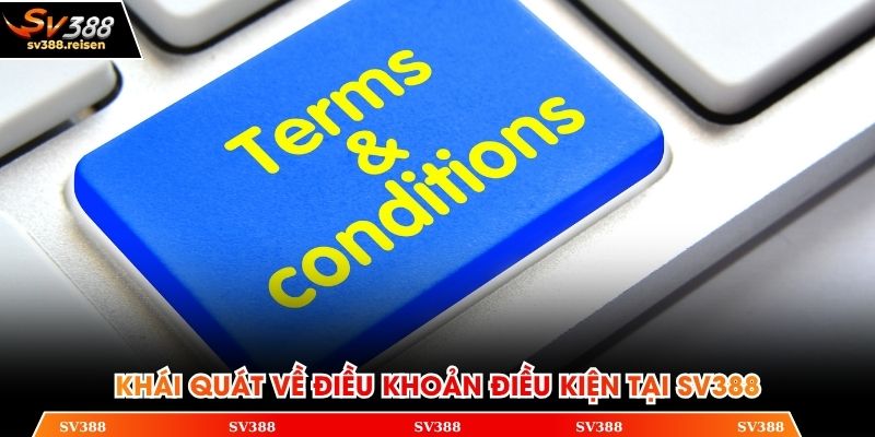 Khái quát về điều khoản điều kiện tại SV388