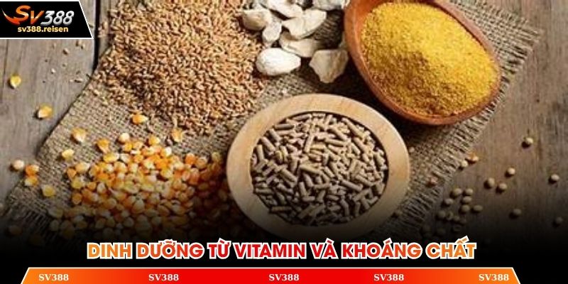Dinh dưỡng tích hợp từ lượng vitamin và khoáng chất