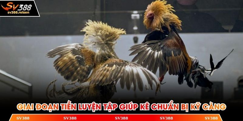 Giai đoạn tiền luyện tập giúp kê chuẩn bị kỹ càng