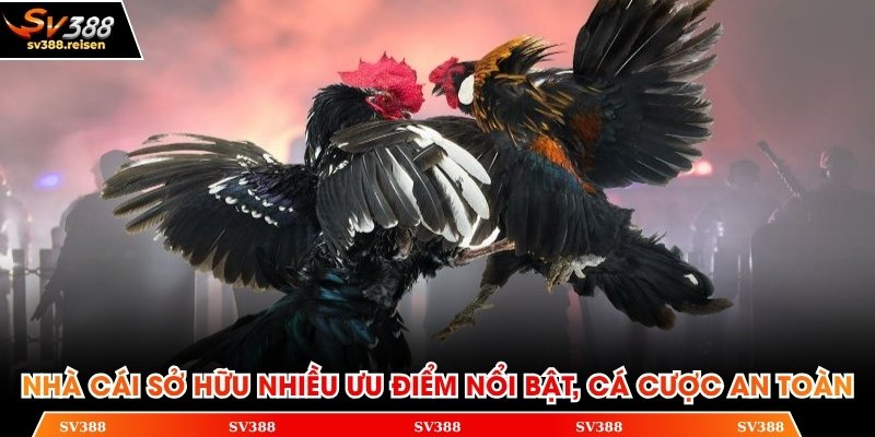 Nhà cái sở hữu nhiều ưu điểm nổi bật, cá cược an toàn