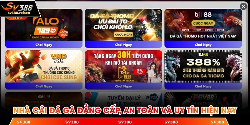 Nhà cái đá gà đẳng cấp, an toàn và uy tín hiện nay