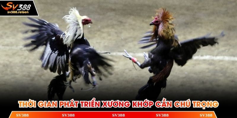 Thời gian phát triển xương khớp cần đặc biệt chú trọng