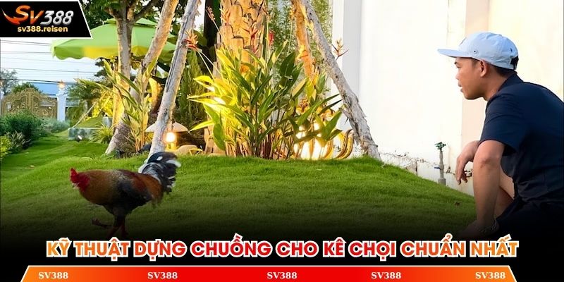 Xây dựng thực đơn dành riêng cho gà chọi