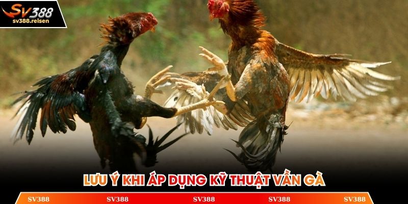 Lưu ý khi áp dụng kỹ thuật vần gà hiệu quả