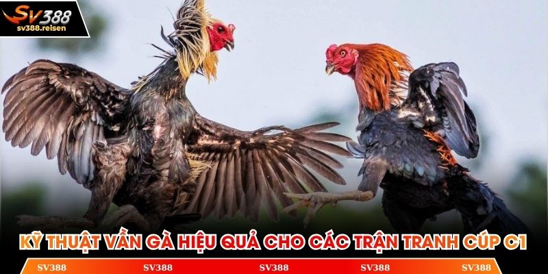 Kỹ thuật vần gà hiệu quả cho các trận tranh cúp C1