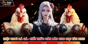 Luật chơi đá gà