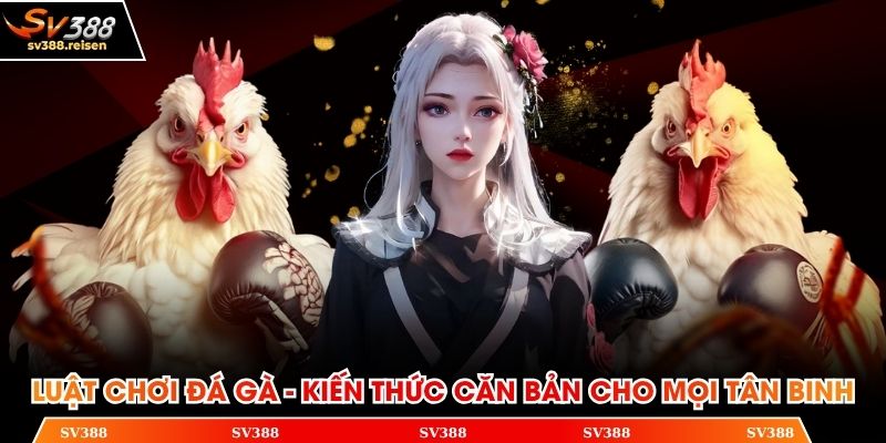 Luật chơi đá gà
