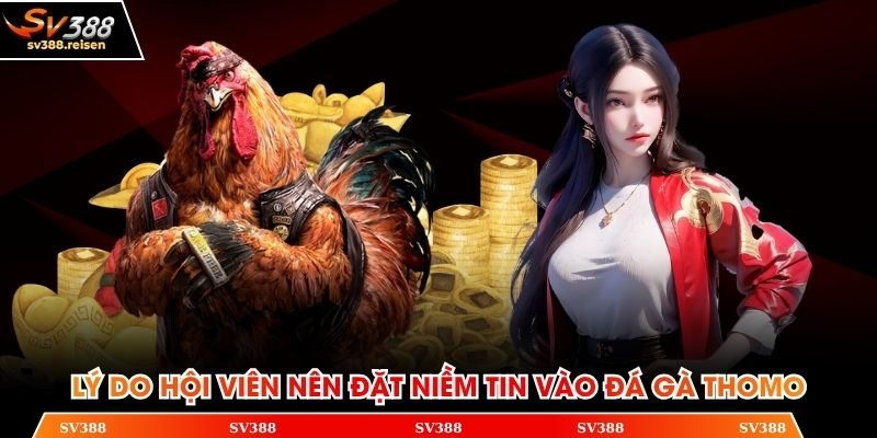 Lý do hội viên nên đặt niềm tin vào đá gà Thomo