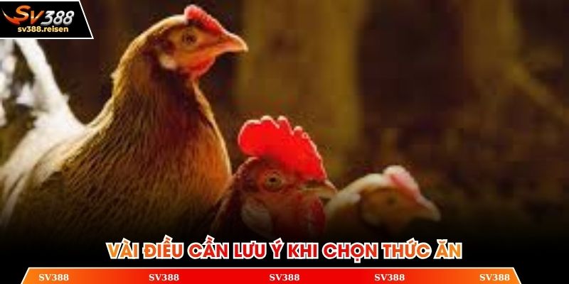 Một số điều nên nhớ khi chọn thức ăn cho gà