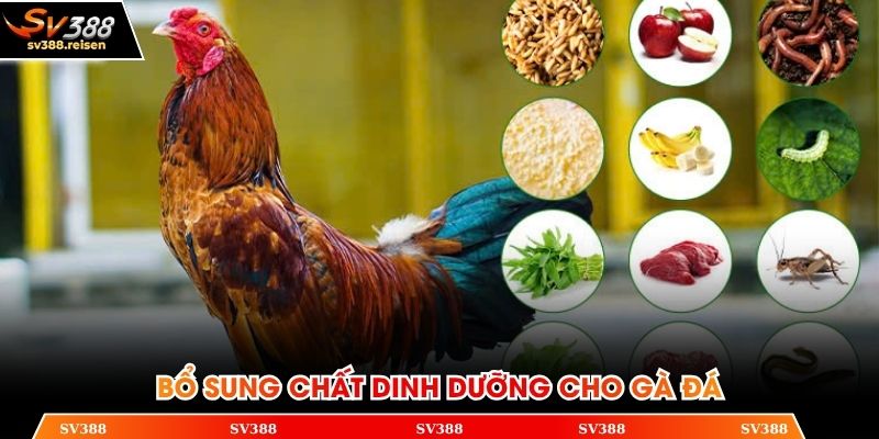 Những kinh nghiệm quý trong cách bổ sung dinh dưỡng