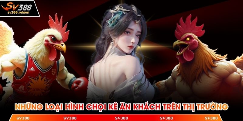 Những loại hình chọi kê ăn khách trên thị trường
