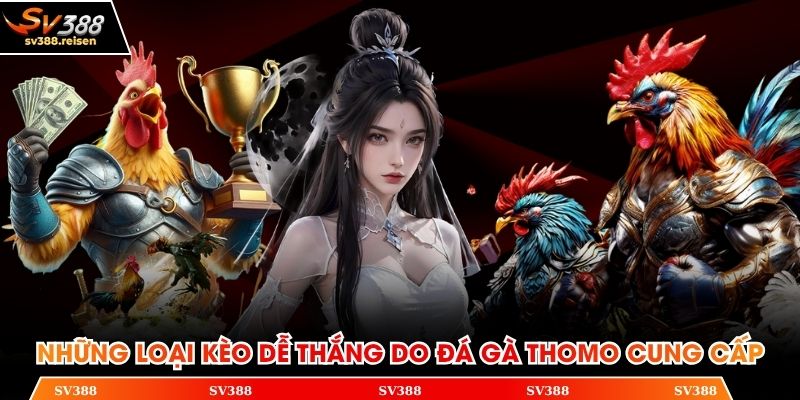 Những loại kèo dễ thắng do đá gà Thomo cung cấp