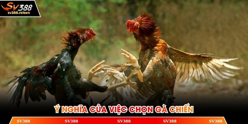 Phân tích ý nghĩa của việc chọn thần kê