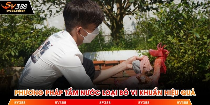 Phương pháp tắm nước loại bỏ vi khuẩn hiệu quả