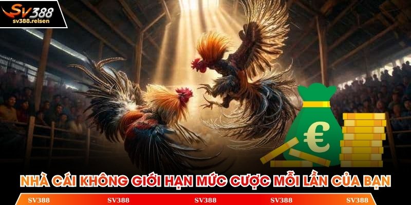 Nhà cái không giới hạn mức cược mỗi lần của bạn