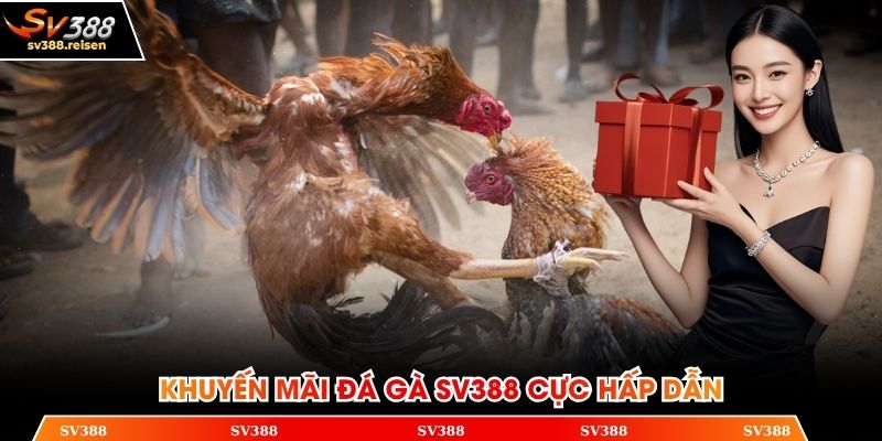 Khuyến mãi đá gà SV388 cực hấp dẫn