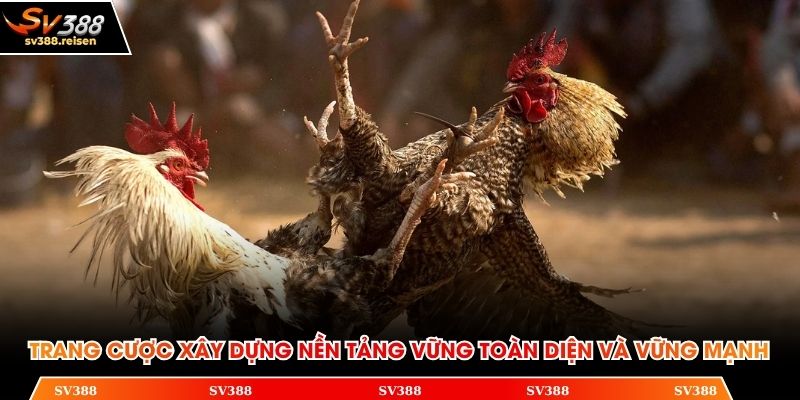 Trang cược xây dựng nền tảng vững toàn diện và vững mạnh