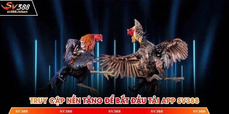 Truy cập nền tảng để bắt đầu tải app SV388