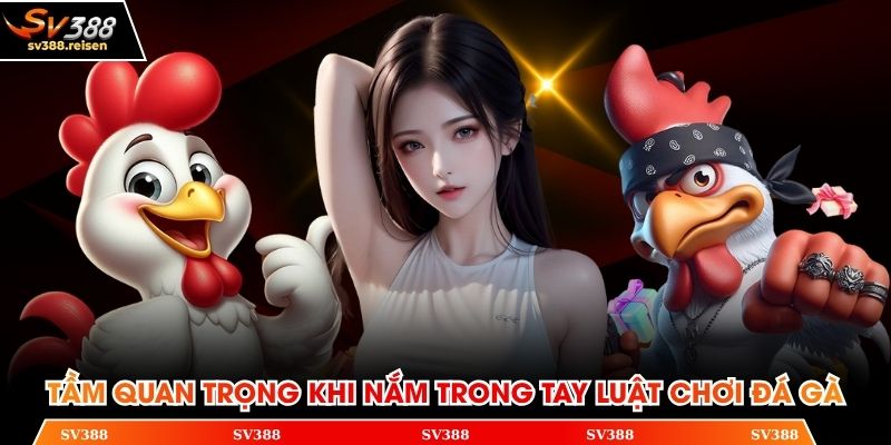 Tầm quan trọng khi nắm trong tay luật chơi đá gà