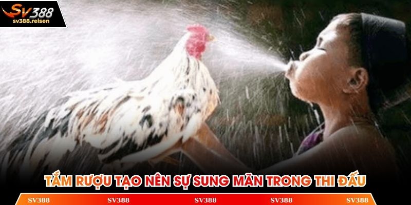 Tắm rượu tạo nên sự sung mãn trong thi đấu