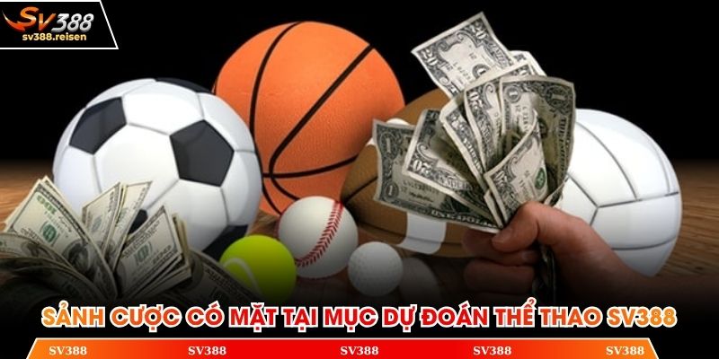 Những sảnh cược có mặt tại chuyên mục dự đoán thể thao SV388
