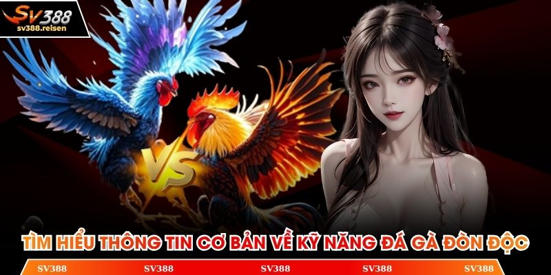 Tìm hiểu thông tin cơ bản về kỹ năng đá gà đòn độc