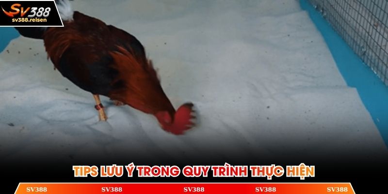 Tips lưu ý trong quy trình thực hiện