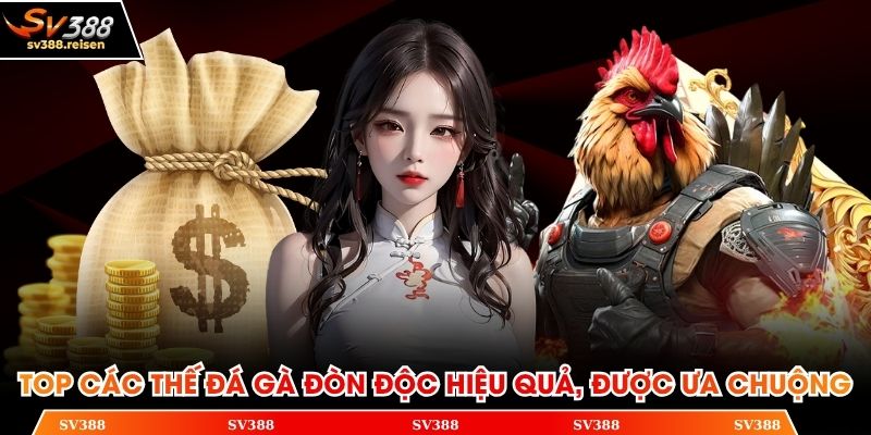 Top các thế đá gà đòn độc hiệu quả, được ưa chuộng