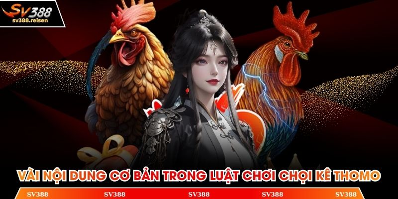 Vài nội dung cơ bản trong luật chơi chọi kê Thomo
