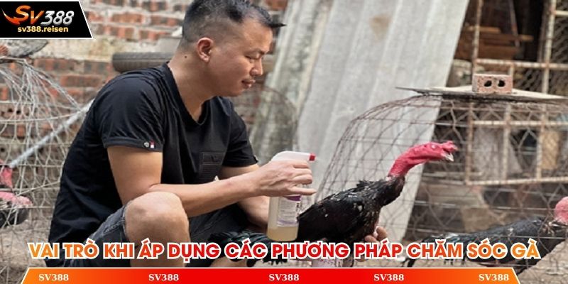 Vai trò khi áp dụng các phương pháp chăm sóc gà