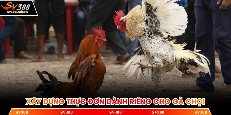 Kỹ thuật dựng chuồng cho kê chọi chuẩn nhất